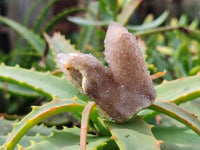 Natural Limonite Coated Fairy Spirit Quartz Clusters x 35 From Boekenhouthoek, South Africa - Toprock Gemstones and Minerals