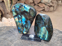 Polished Labradorite Standing Free Forms x 2 From Tulear, Madagascar - Toprock Gemstones and Minerals