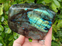 Polished Labradorite Standing Free Forms x 2 From Tulear, Madagascar - Toprock Gemstones and Minerals