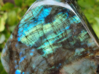 Polished Labradorite Standing Free Forms x 2 From Tulear, Madagascar - Toprock Gemstones and Minerals