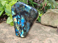 Polished Labradorite Standing Free Forms x 2 From Tulear, Madagascar - Toprock Gemstones and Minerals