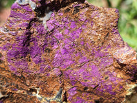 Natural Metallic Purpurite Specimens x 3 From Erongo, Namibia - Toprock Gemstones and Minerals