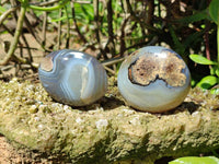 Polished Banded Agate Palm Stones x 12 From Madagascar - Toprock Gemstones and Minerals