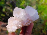 Natural Amethyst Spirit Quartz Clusters x 6 From South Africa - Toprock Gemstones and Minerals