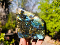 Polished Labradorite Standing Free Forms x 2 From Tulear, Madagascar - Toprock Gemstones and Minerals