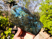 Polished Labradorite Standing Free Forms x 2 From Tulear, Madagascar - Toprock Gemstones and Minerals