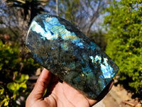 Polished Labradorite Standing Free Forms x 2 From Tulear, Madagascar - Toprock Gemstones and Minerals