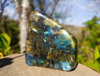 Polished Labradorite Standing Free Forms x 2 From Tulear, Madagascar - Toprock Gemstones and Minerals