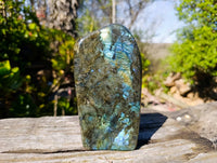 Polished Labradorite Standing Free Forms x 2 From Tulear, Madagascar - Toprock Gemstones and Minerals