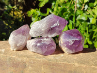Polished Jacaranda Amethyst Quartz Crystals x 9 From Mumbwa, Zambia - Toprock Gemstones and Minerals