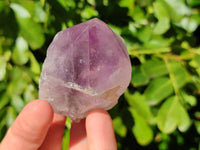 Polished Jacaranda Amethyst Quartz Crystals x 9 From Mumbwa, Zambia - Toprock Gemstones and Minerals