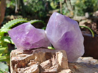 Polished Jacaranda Amethyst Quartz Crystals x 9 From Mumbwa, Zambia - Toprock Gemstones and Minerals