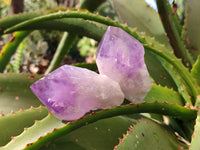Polished Jacaranda Amethyst Quartz Crystals x 9 From Mumbwa, Zambia - Toprock Gemstones and Minerals