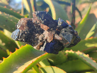Natural Schorl Black Tourmaline, Smokey Quartz with some Hyalite Opal x 6 From Erongo, Namibia - Toprock Gemstones and Minerals