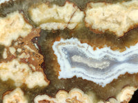 Polished On One Side 'Crazy Lace' Blue Lace Agate x 3 From Namibia - Toprock Gemstones and Minerals