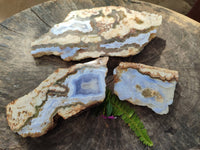 Polished On One Side 'Crazy Lace' Blue Lace Agate x 3 From Namibia - Toprock Gemstones and Minerals