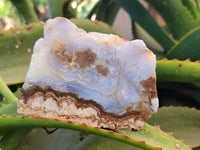 Polished On One Side 'Crazy Lace' Blue Lace Agate x 3 From Namibia - Toprock Gemstones and Minerals