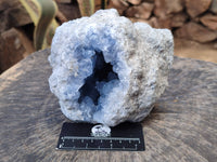 Natural Blue Celestite Geode Specimen x 1 From Sakoany, Madagascar - Toprock Gemstones and Minerals