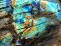 Polished Labradorite Standing Free Forms x 2 From Tulear, Madagascar - Toprock Gemstones and Minerals