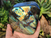 Polished Labradorite Standing Free Forms x 2 From Tulear, Madagascar - Toprock Gemstones and Minerals