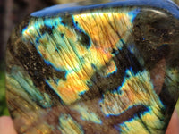 Polished Labradorite Standing Free Forms x 2 From Tulear, Madagascar - Toprock Gemstones and Minerals