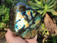 Polished Labradorite Standing Free Forms x 2 From Tulear, Madagascar - Toprock Gemstones and Minerals
