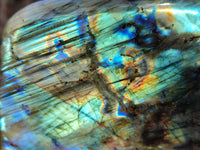 Polished Labradorite Standing Free Forms x 2 From Tulear, Madagascar - Toprock Gemstones and Minerals