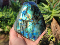 Polished Labradorite Standing Free Forms x 2 From Tulear, Madagascar - Toprock Gemstones and Minerals