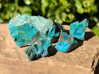 Natural Shattuckite with Chrysocolla Cobbed Specimens x 25 From Kaokoveld, Namibia - Toprock Gemstones and Minerals