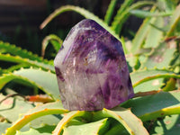 Polished Window Amethyst Crystals x 6 From Madagascar - Toprock Gemstones and Minerals