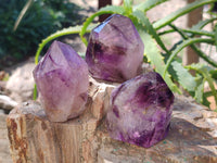 Polished Window Amethyst Crystals x 6 From Madagascar - Toprock Gemstones and Minerals