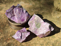 Natural Stichtite Cobbed Specimens x 9 From Barberton, South Africa - Toprock Gemstones and Minerals