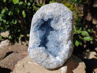 Natura Celestite Geode Specimen x 1 From Sakoany, Madagascar - Toprock Gemstones and Minerals