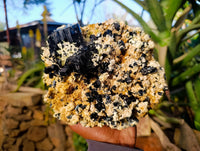 Natural Schorl Black Tourmaline Specimen With Hyalite Opal x 1 From Namibia - Toprock Gemstones and Minerals