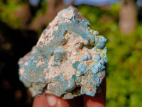 Natural Shattuckite with Chrysocolla Cobbed Specimens x 12 From Kaokoveld, Namibia - Toprock Gemstones and Minerals