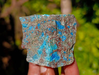 Natural Shattuckite with Chrysocolla Cobbed Specimens x 12 From Kaokoveld, Namibia - Toprock Gemstones and Minerals