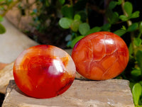 Polished Carnelian Agate Palm Stones x 12 From Madagascar - Toprock Gemstones and Minerals