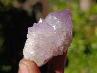 Natural Amethyst Spirit Quartz Crystals x 35 From Boekenhouthoek, South Africa - Toprock Gemstones and Minerals