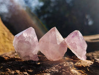 Natural Amethyst Spirit Quartz Crystals x 35 From Boekenhouthoek, South Africa - Toprock Gemstones and Minerals