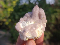 Natural Amethyst Spirit Quartz Specimens x 20 From Boekenhouthoek, South Africa - Toprock Gemstones and Minerals