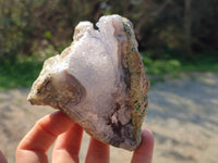 Natural Blue Lace Agate Geode Specimens x 6 From Malawi - Toprock Gemstones and Minerals