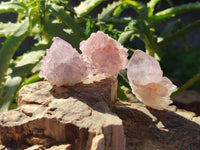 Natural Amethyst Spirit Quartz Crystals x 35 From Boekenhouthoek, South Africa - Toprock Gemstones and Minerals