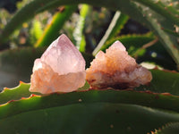 Natural Amethyst Spirit Quartz Crystals x 35 From Boekenhouthoek, South Africa - Toprock Gemstones and Minerals