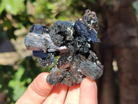 Natural Schorl Black Tourmaline Specimens x 6 From Erongo, Namibia - Toprock Gemstones and Minerals