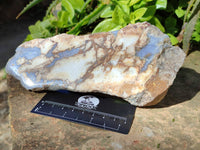 Polished On One Side 'Crazy' Blue Lace Agate x 4 From Namibia - Toprock Gemstones and Minerals