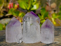 Polished Window Amethyst Crystals x 12 From Madagascar - Toprock Gemstones and Minerals