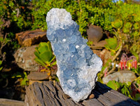Natural Celestite Specimen x 1 From Sakoany, Madagascar - Toprock Gemstones and Minerals