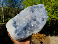 Natural Celestite Standing Free Form x 1 From Sakoany, Madagascar - Toprock Gemstones and Minerals
