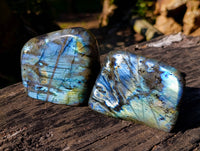 Polished Labradorite Standing Free Forms x 2 From Tulear, Madagascar - Toprock Gemstones and Minerals