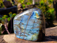 Polished Labradorite Standing Free Forms x 2 From Tulear, Madagascar - Toprock Gemstones and Minerals